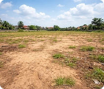 Excellent Homes Properties